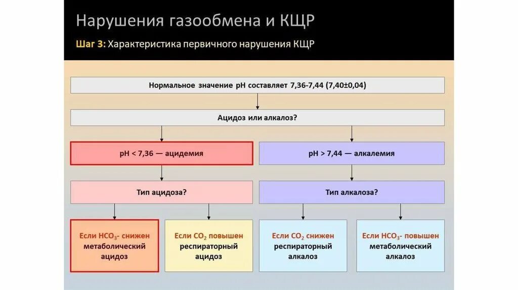 Тип газообмена. Нарушение кислотно-щелочного равновесия. нарушения кислотно-щелочного равновесия (кщр). типы нарушения кщр.