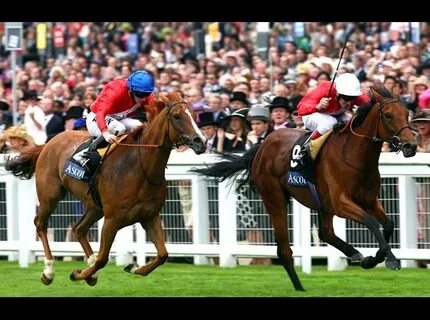 Ascot horse racing