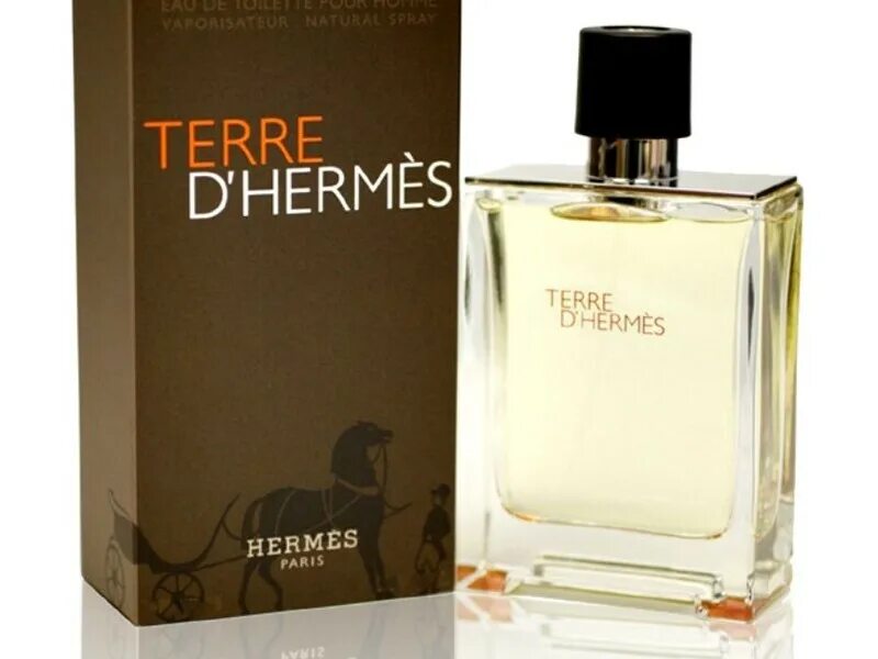 Hermes terre d'hermes 100 мл. Гермес тери. Духи hermes terre d'hermes. Parfum hermes мужчин terre. Hermes terre d'hermes 50 мл.