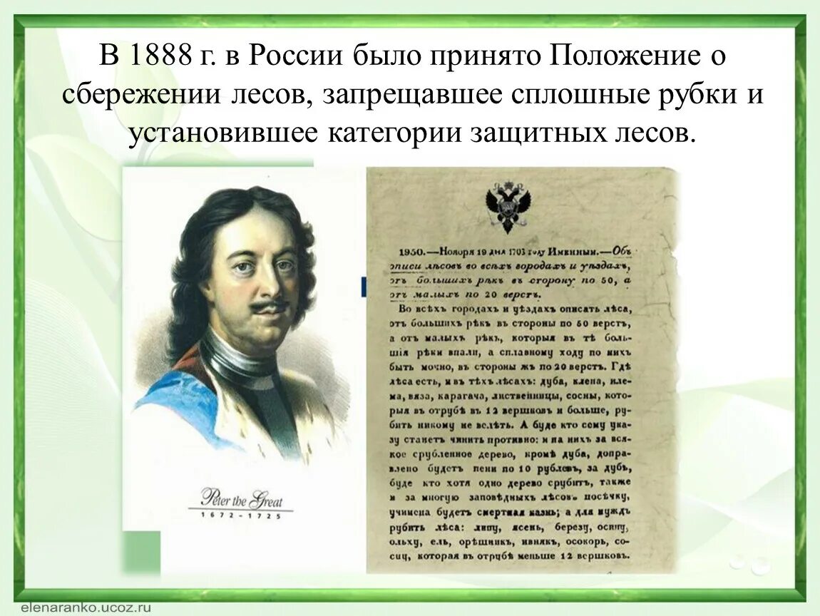 Положение о сбережении лесов 1888. В 1888 Г. В России было принято положение о сбережении лесов. Положение о сбережении лесов. Лесной устав 1888 года.