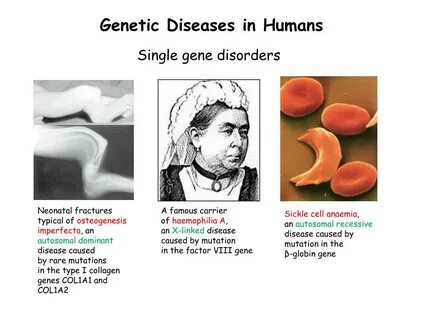 An example of a human being