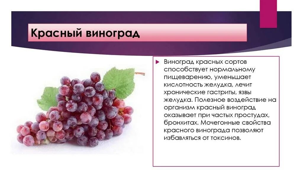 Сколько воды содержится в винограде. Ресвератрол виноград. Витамины в винограде. Красный виноград витамины. Полезные вещества в винограде.