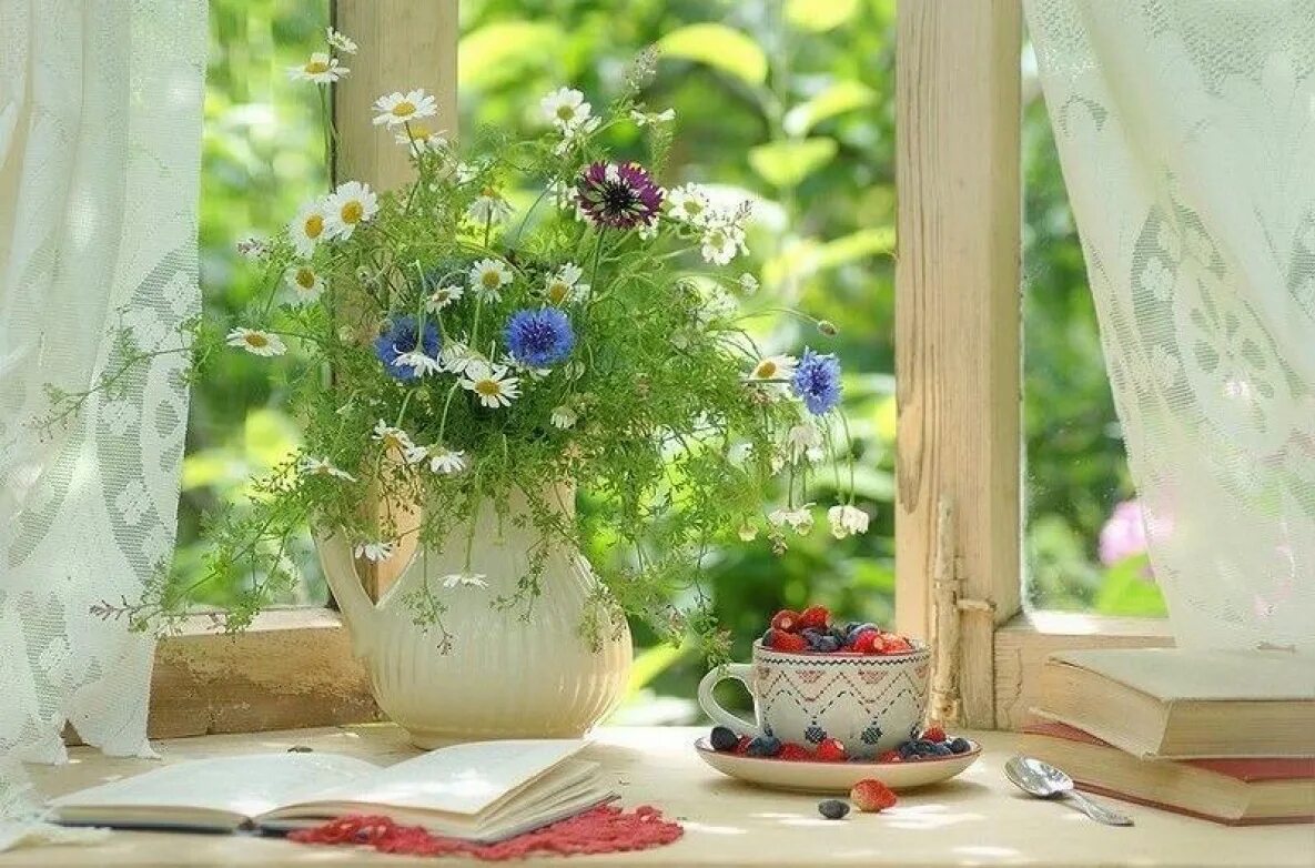 Солнечный букет. Природа солнце. Красивый солнечный день. Город лето парк солнце. Солнечные дни домашний.
