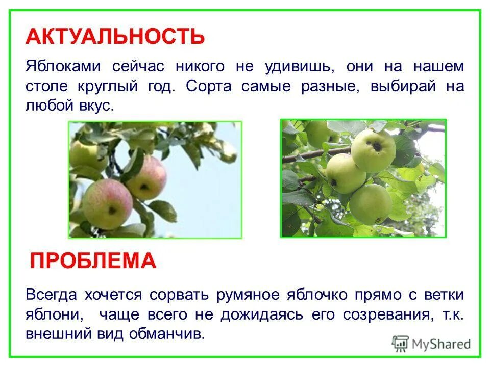 проект про яблоко. нулевые годы ностальгия. вот ведь. сейчас никого не удивишь. никого не удивишь.