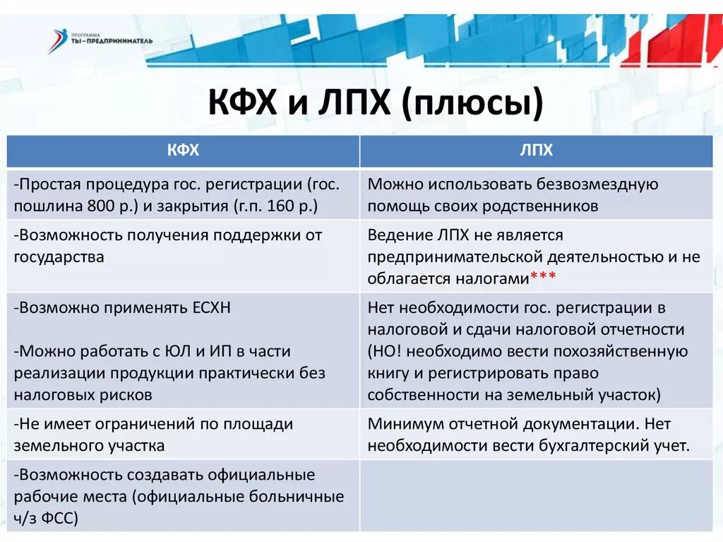 Фермерское хозяйство плюсы и минусы. Плюсы фермерского хозяйства. Преимущества крестьянского фермерского хозяйства. КФХ плюсы и минусы.