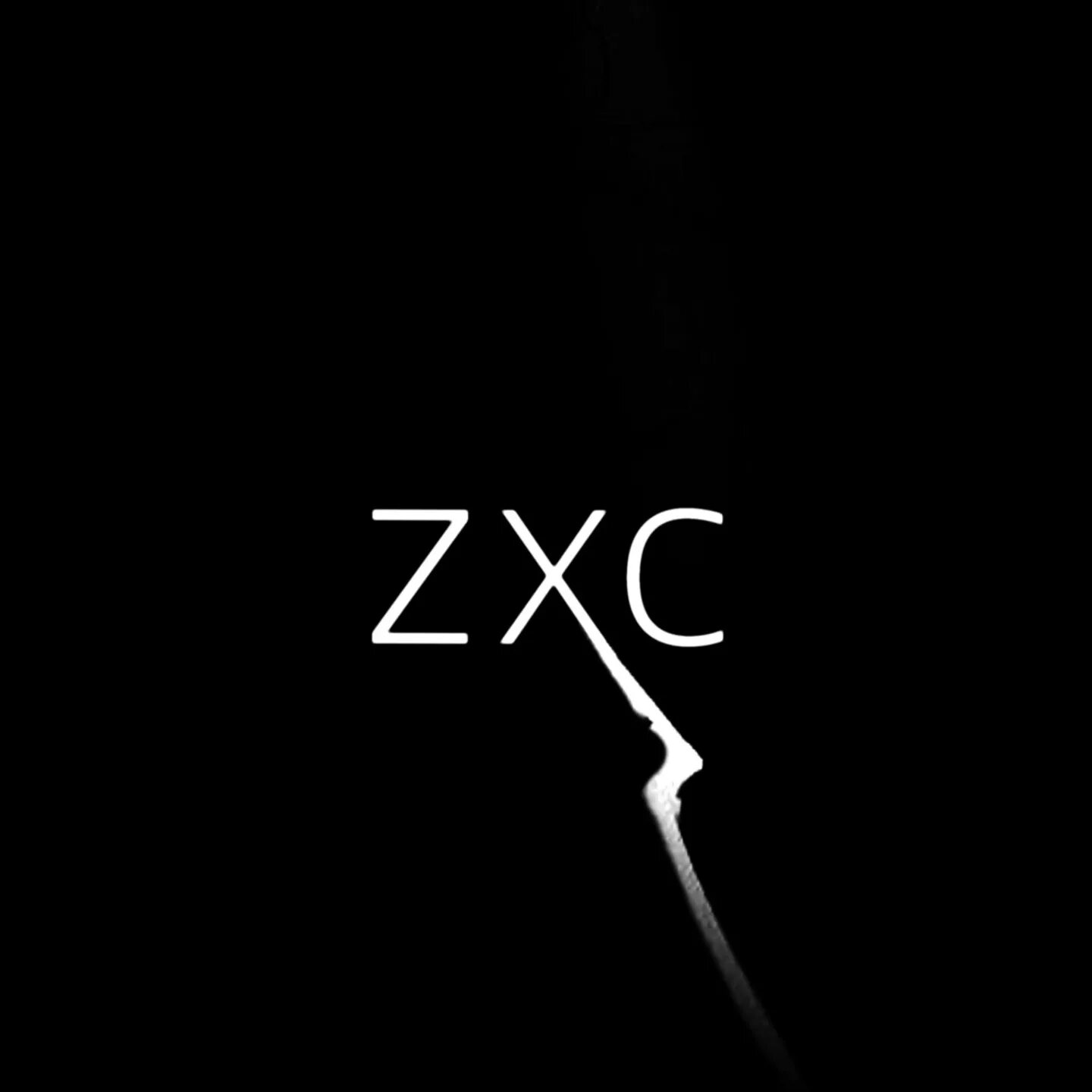 Наше последнее лето погром. Наше последнее лето zxc. Zxc надпись. Zxc обложка. Zxc культура.