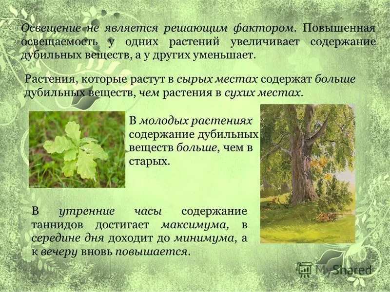 Дубильные вещества в растениях. Дубильные вещества в растениях. Дубящие вещества. Дубильные вещества влияние. Дубильные вещества растения свойств.