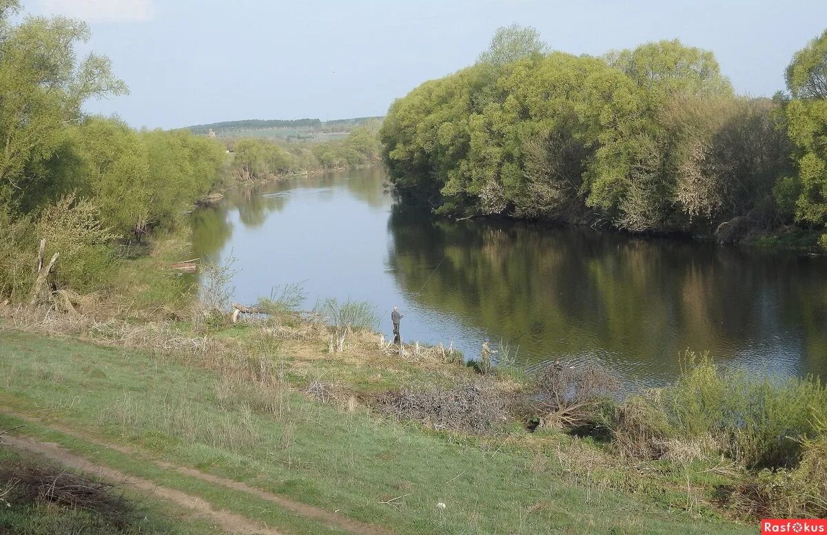 Village don. Река Дон весной. Деревня Дон. Дон май река. Тихий Дон Липецк.