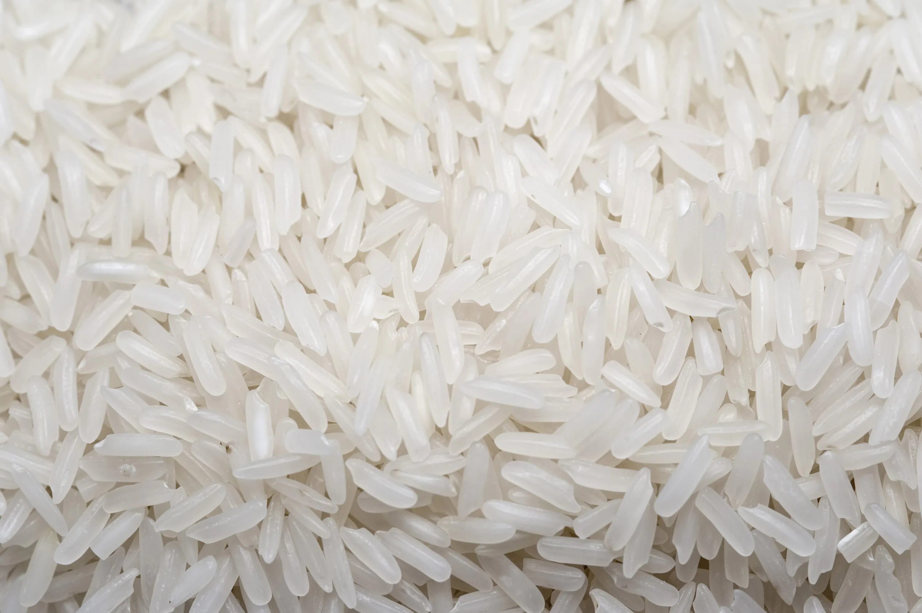 M rice. Рис best Basmati. Белый рис басмати. Рис басмати фон. Рис темный басмати.
