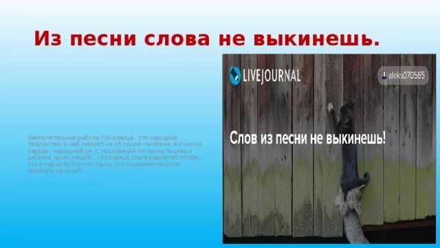 Из нее слов не выкинешь. Из пословицы слова не выкинешь. из песни слов не выкинешь. из песни слов не выкинешь пословица. смысл пословицы из пословицы слова не выкинешь.