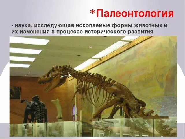 Разновидность определения палеонтология наука о вымерших животных. Палеонтология. палеонтология это наука. палеонтология это в биологии. палеонтология для детей.