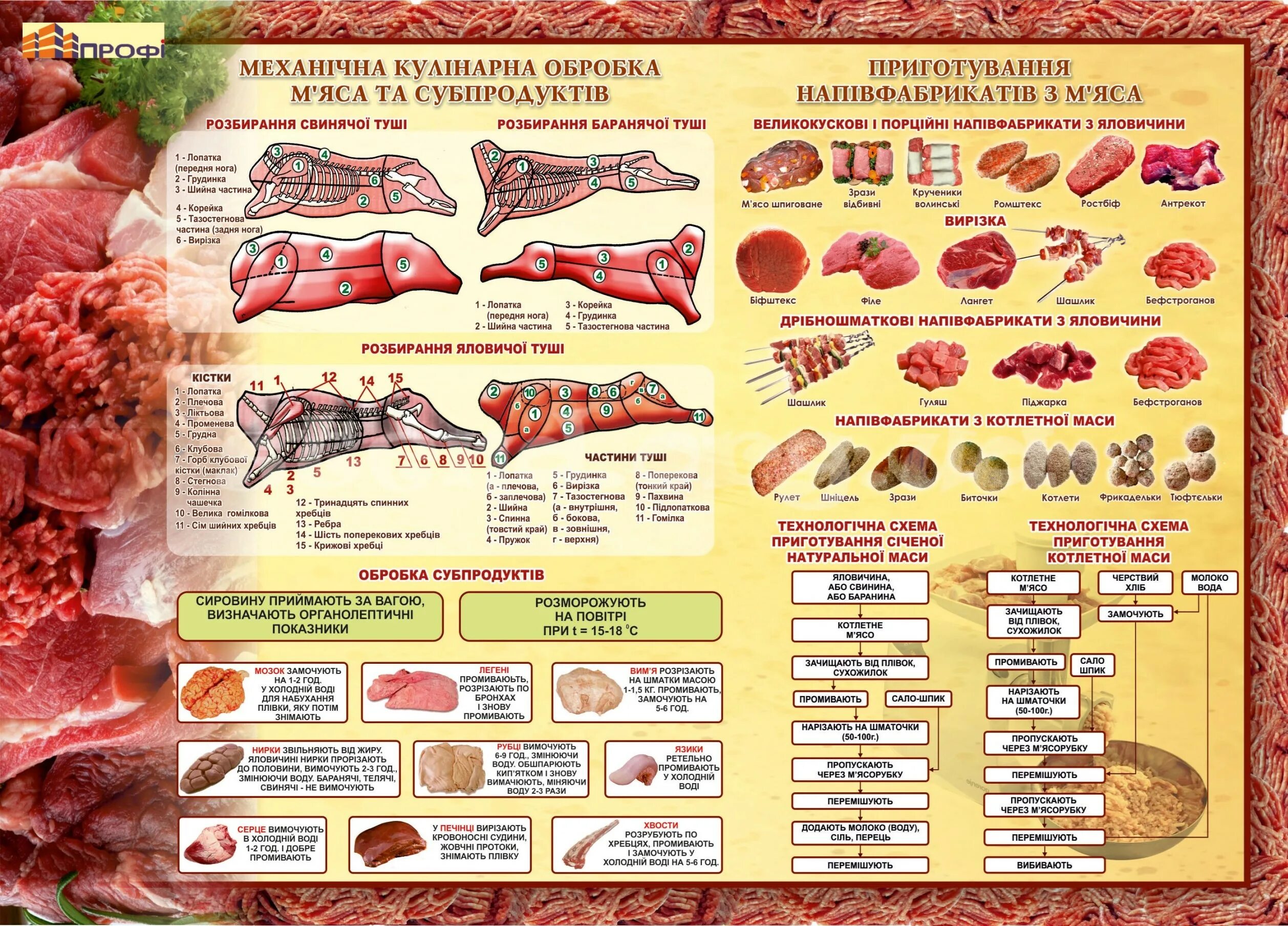 Схема разруба говядины. Разделка свинины плакат.