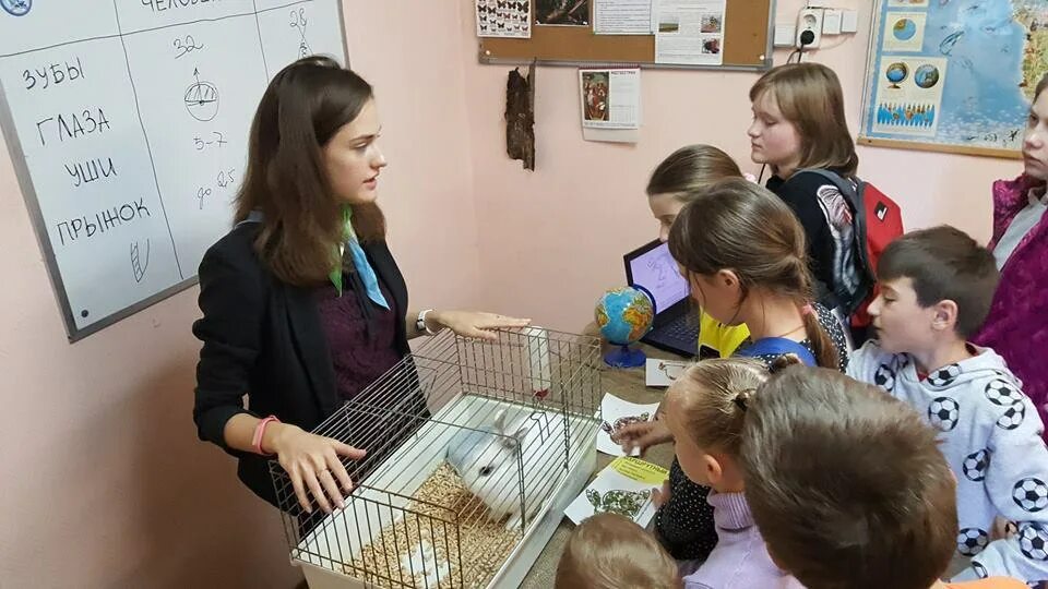 Мосветстанция юннатов 16а. Станция Юннатов Енисейск. Станция Юннатов Елец. Станция Юннатов Омск. Станция Юннатов Калининград.