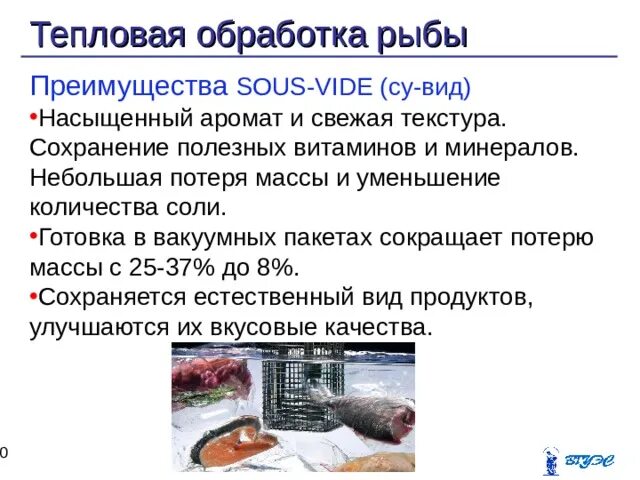 Рыбки которые ел монжиро сано. Морская рыба лосось. Преимущества рыб. Сырая рыба. Полезная рыба.