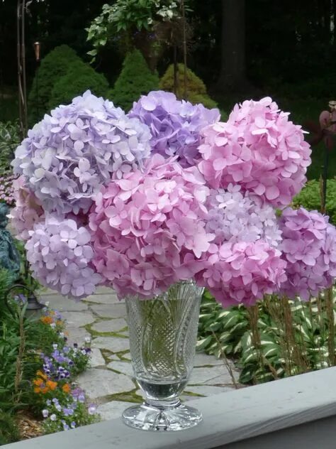 Hydrangea Bouquet in Glass Cylinder Mixed Blue Shades 17'' Tall Hydrangea arrang