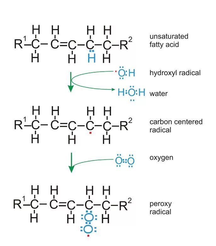 С реакт белок. Reactive Oxygen species. Hydroxyl Radical. Длинноцепочечные жирные кислоты. Пластмасса схема Oxygen.
