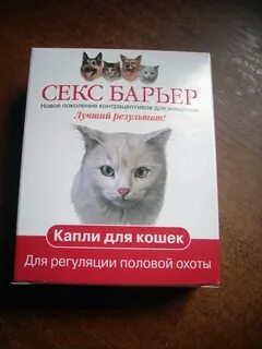 Барьер для кошек