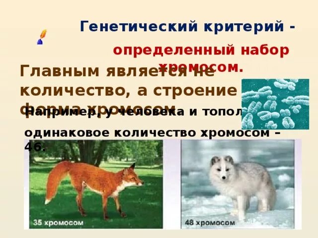 Генетический критерий оленя. Морфологические адаптации северного оленя. Генетический критерий оленя. Генетический критерий оленя. Генетический критерий благородного оленя.
