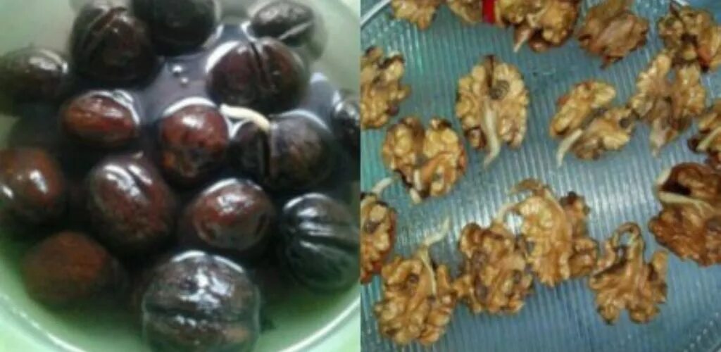 пророщенный грецкий орех. грецкие орехи в воде. сухофрукты. расколотый орех. польза грецких орехов.