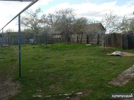 Село золотое саратовская область дома
