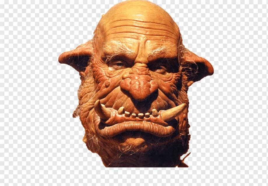 Огр аруана. Огр концепт арт. Лицо огра. Огр фэнтези. Лицо огра.