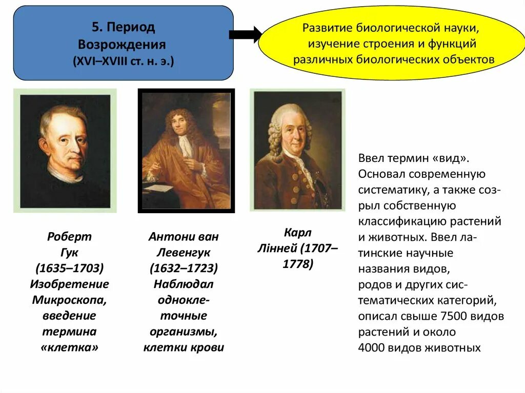 Наука эпохи Возрождения. Ученые эпохи Возрождения. Составляющие проектной деятельности в эпоху Возрождения. Эпоха Возрождения биология ученые. Деятельности эпохи возрождения