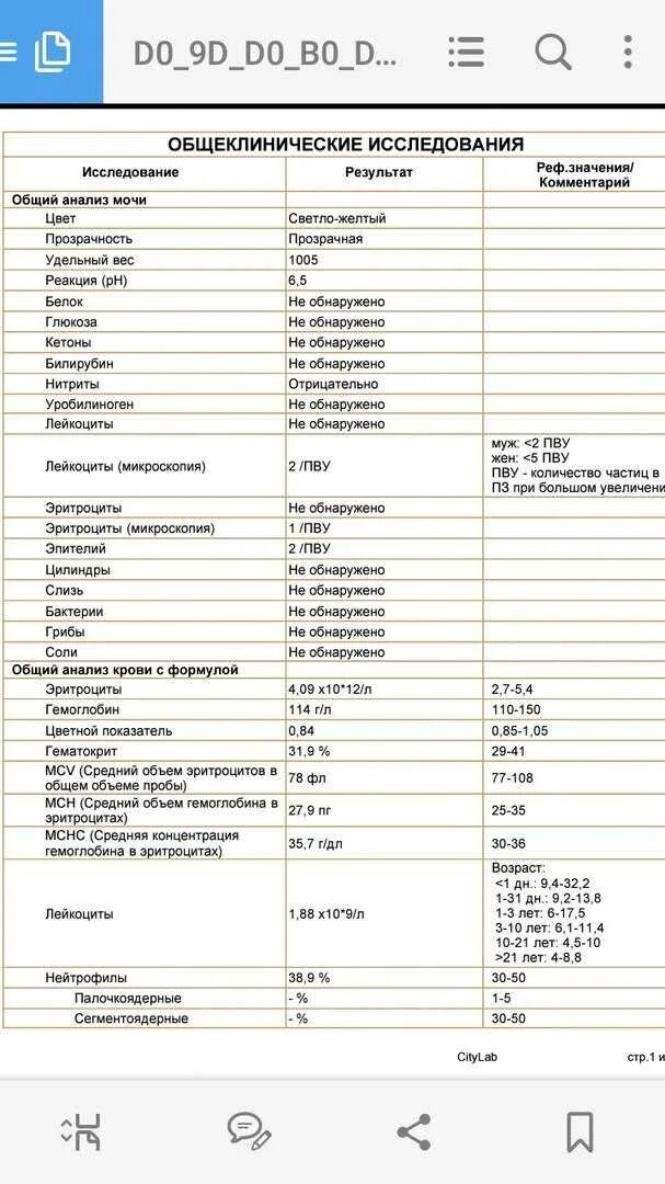 Повышенное содержание лейкоцитов в моче. Расшифровка анализа мочи лейкоциты 2- 1 1. Норма лейкоцитов и эритроциты в моче 3 года. Показатели лейкоцитов в моче норма. Анализ мочи лейкоциты норма.