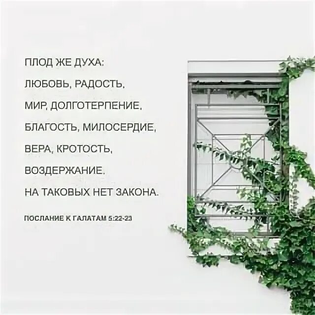 Плод духа радость. Верность добро текст. Плоды духа в библии. Плод духа любовь радость мир долготерпение. Плоды духа в библии.