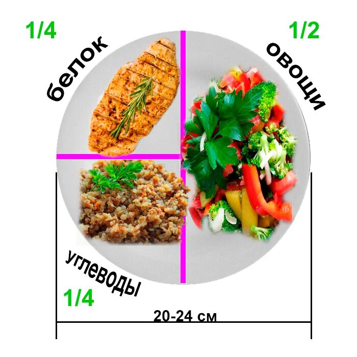 Сколько мяса в порции. Правило тарелки. Правило тарелки для похудения. Питание по правильной тарелке. Правило тарелки в питании.