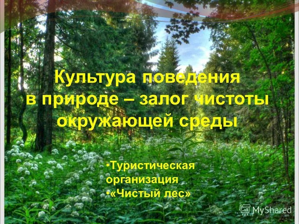 в чаще леса предложения. чаща леса предложение. текст леса. необычайная тишина в чаще леса вершины сосен щебечут чижи. шишкин лесная глушь 1872.