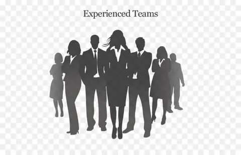 Experienced team