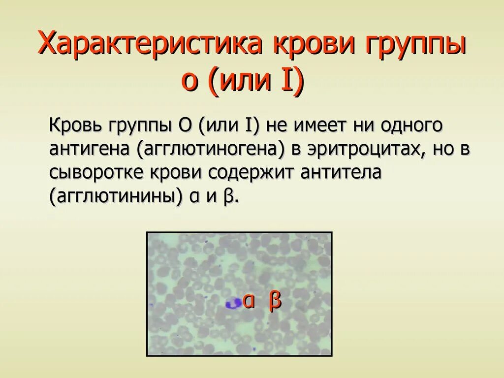 Группа крови определяет характер. Первая группа крови характеристика. Первая группа крови характер. Характеристика групп крови. Охарактеризуйте группы крови.