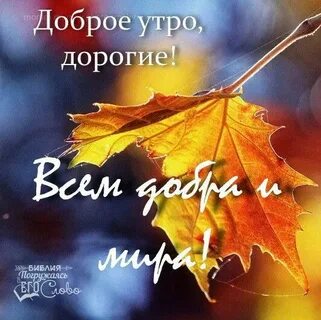 Доброе утро из библии
