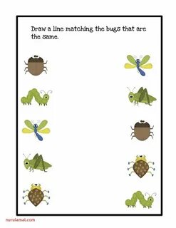 Get those bugs