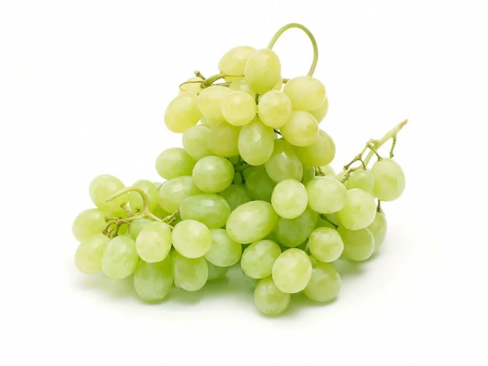 Виноград кишмиш белый. Виноград кыш мыш зеленый. Виноград кишмиш зеленый. Виноград КИШ-Миш белый. Кишмиш зеленый