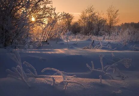 Вечер зимы шатунов