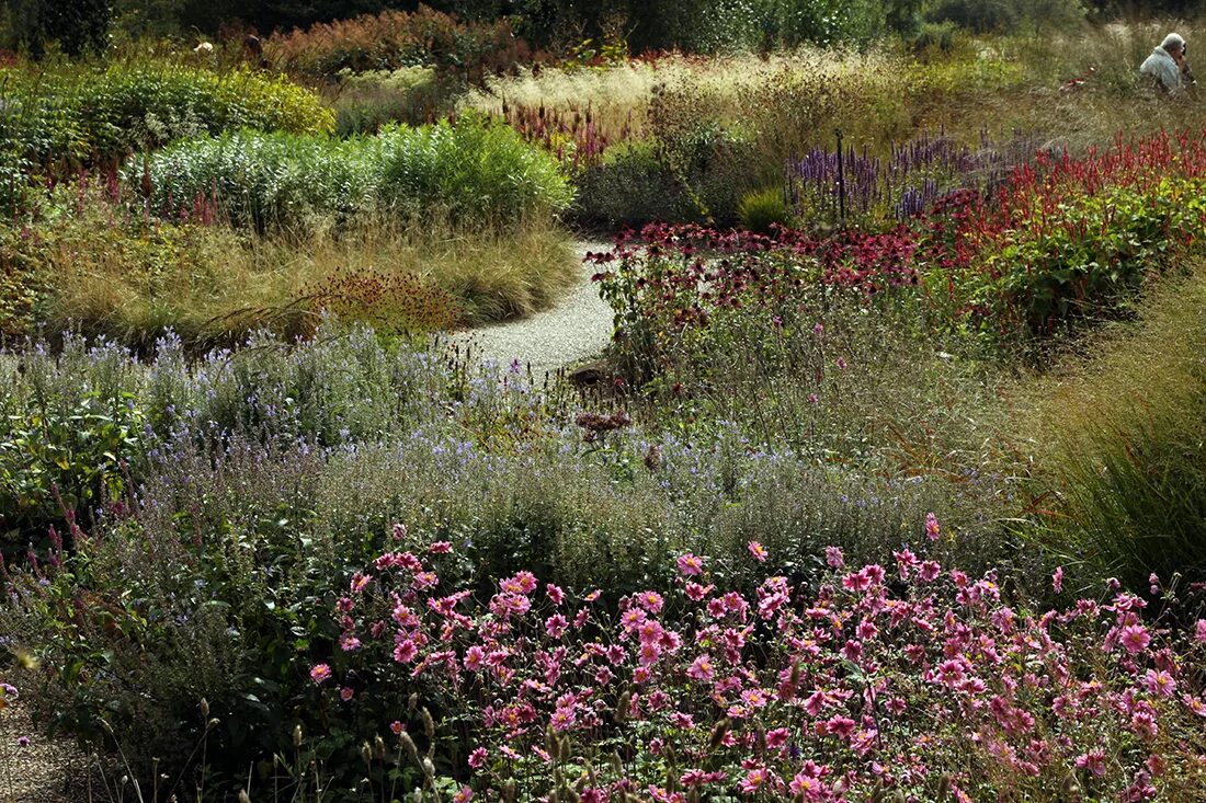 Цветочное поле фото. Flowery path for the devastated. The path игра красная шапочка. The path джинджер. Flowery path for the devastated.