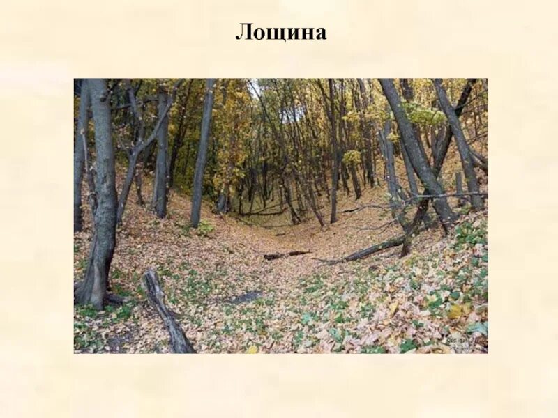 Характерной линией лощины является. Что такое слово лощина. Что обозначает слово лощина. Что такое слово лощина. Что такое слово лощина.