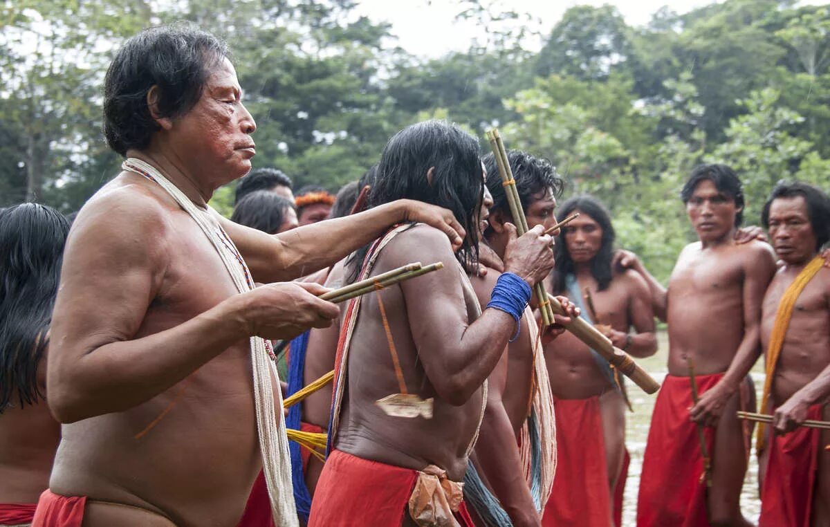Бразилия Амазония племена. Амазонка индейцы яномамо. Дикие племена амазонки неконтактные. Неконтактные индейцы Амазонии.