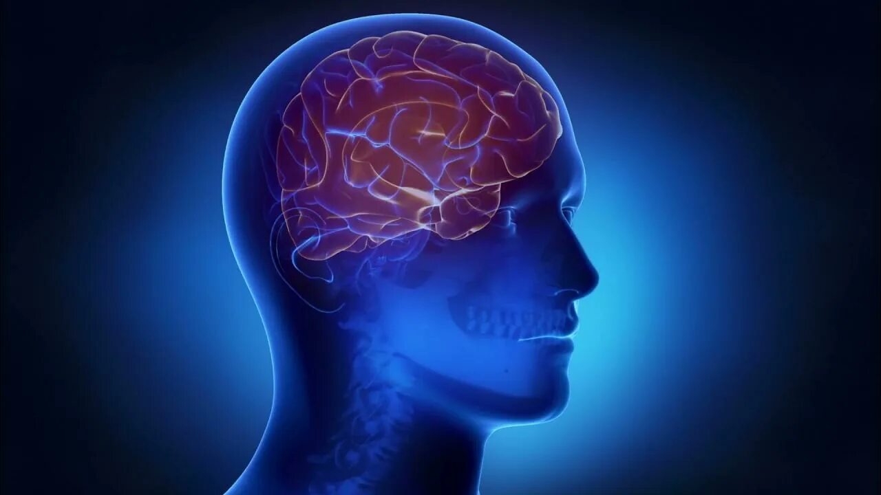 Бинауральные ритмы для мозговой активности. Исцеление головного мозга. Нейрософия мозг. Нейрофитнес картинки.