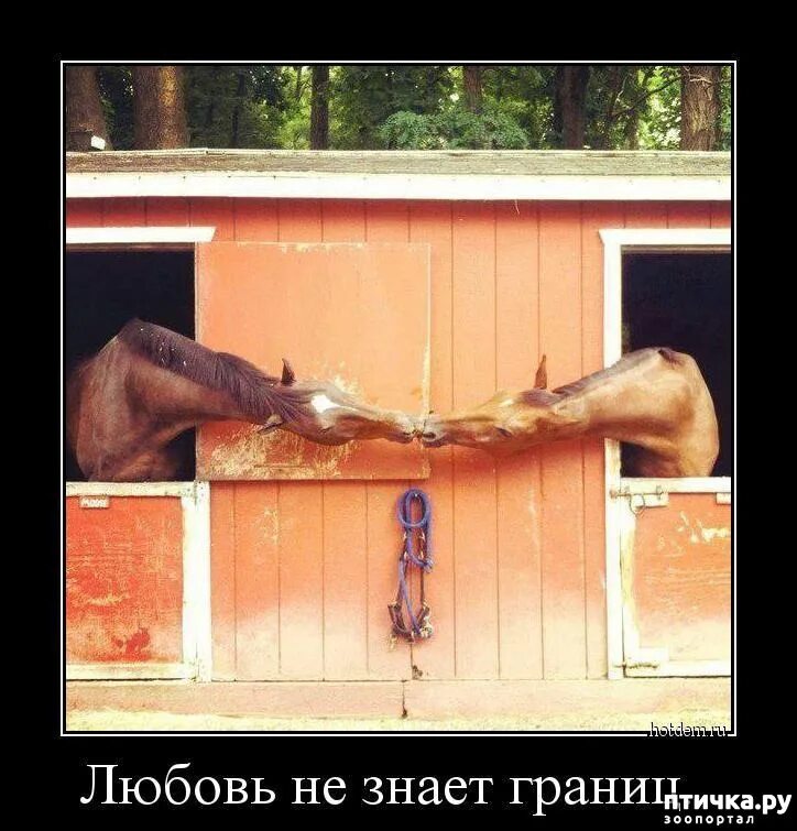 Рекламный ход. Моя любовь не знает границ. Песня не знает границ. Наглые мемы. Дружба в одни ворота цитаты.