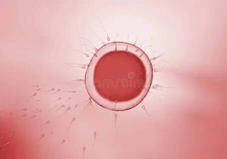 Move cells