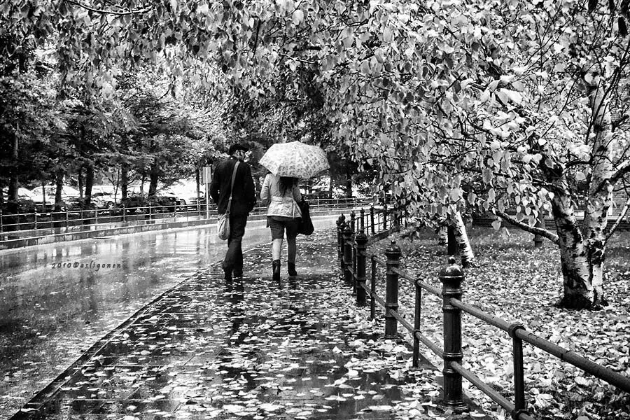 Есть в старом парке черный. В парке под дождём. Двое в парке под дождем. Фотосессия в дождь в парке. Влюбленные под дождем.