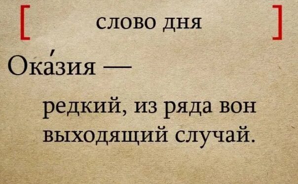 Слово дня. Что такое слово оказия. Рубрика слово дня. Смысл слова оказия.