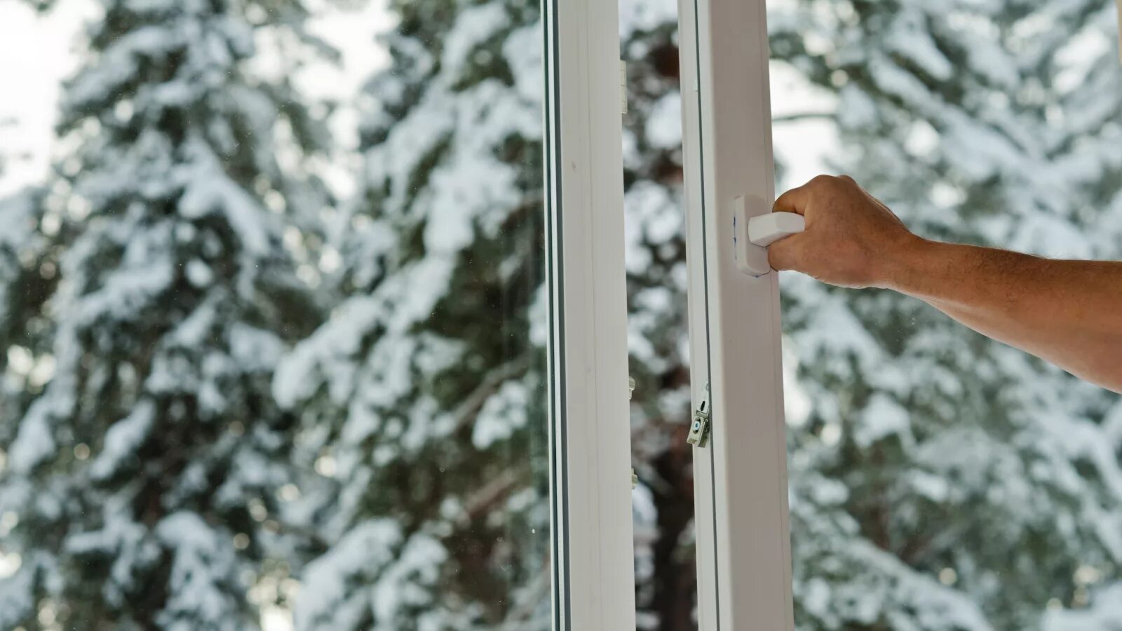 I have opened the window