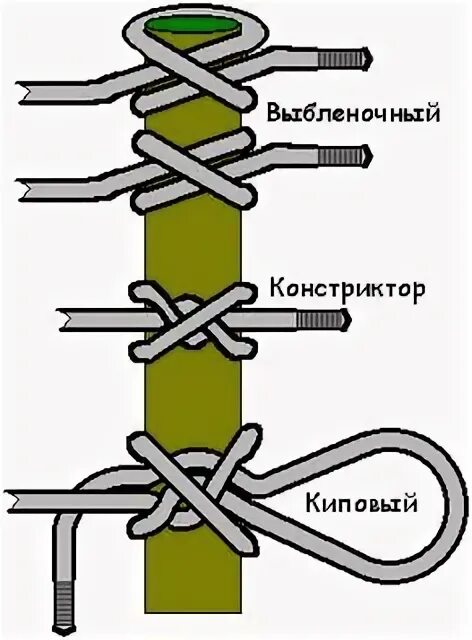 Без заголовка. Обсуждение на LiveInternet - Российский Сервис Онлайн-Дневников