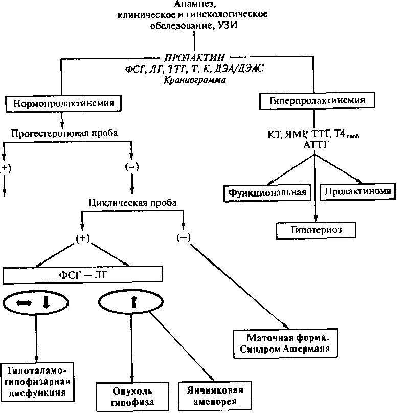 Гинекологическая эндокринология. Вторичная аменорея диагностический алгоритм. Алгоритм диагностики вторичной аменореи. Алгоритм диагностики первичной аменореи. Алгоритм обследования при аменорее.
