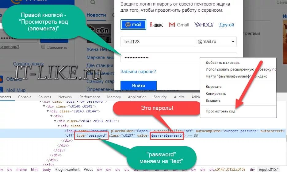 Код страницы https. Как узнать пароль через код элемента. Пароль через код страницы.