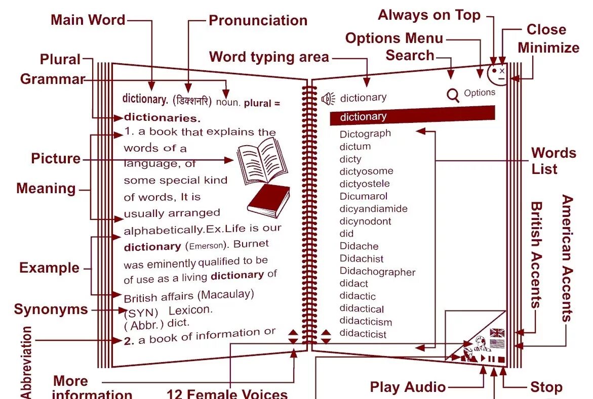 C object to dictionary. Английский словарь в ворде. dictionary. headword. словарь в ворде.