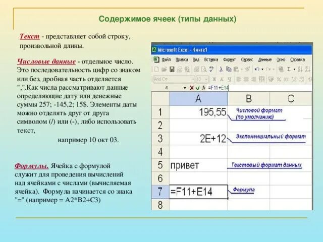 Содержимое ячейки. Вид текстовой ячейки. Данные в ячейках таблицы. Формат ячеек Тип данных. Как ввести информацию в ячейку